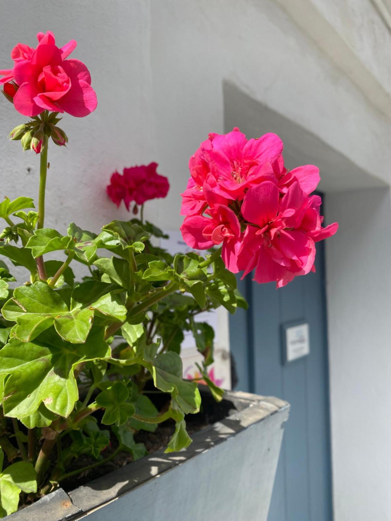 Victoria Seis Hotel Medina-Sidonia Ngoại thất bức ảnh